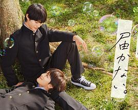 安阳关键词网站优化